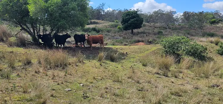 Fifth view of Homely rural property listing, 0 New England Highway, Thornville QLD 4352