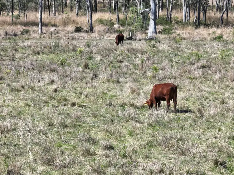 Seventh view of Homely land listing, Lot 1 Brisbane Valley Highway, Braemore QLD 4313
