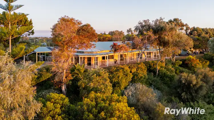 Third view of Homely house listing, 38 Emerald Court, Singleton WA 6175