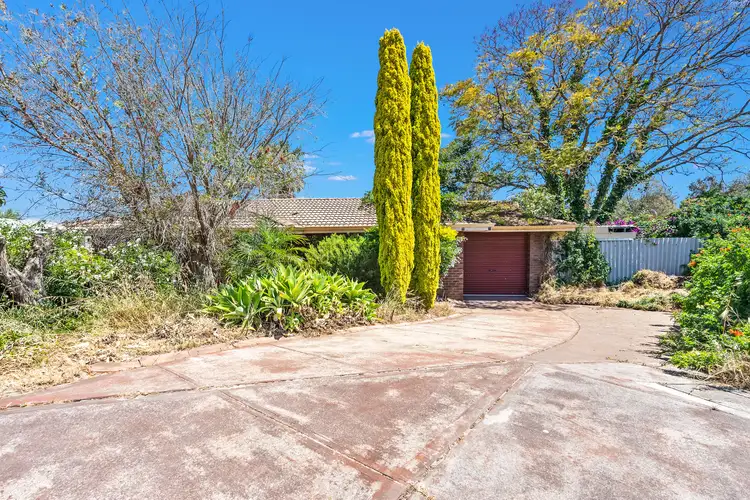 Second view of Homely house listing, 5 Wimpole Court, Alexander Heights WA 6064