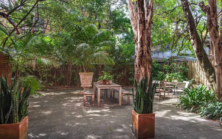 Fifth view of Homely studio listing, 65/95-97 Annandale Street, Annandale NSW 2038