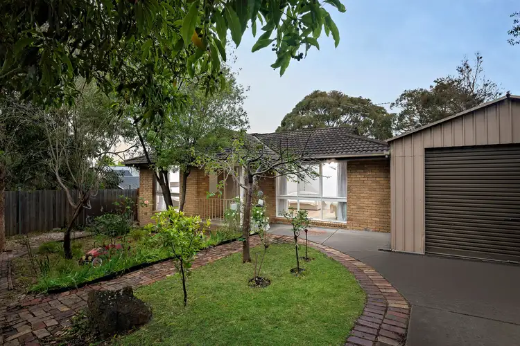 Main view of Homely house listing, 31 Myrtle Street, Langwarrin VIC 3910