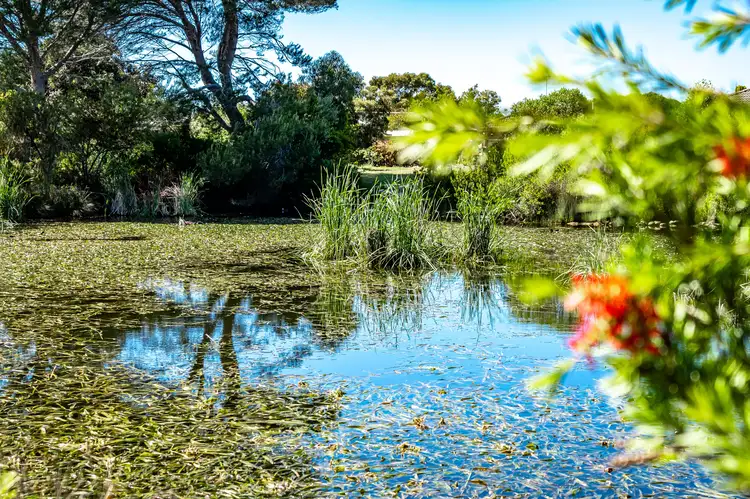 Fifth view of Homely house listing, 14 Albury Lane, Goolwa SA 5214