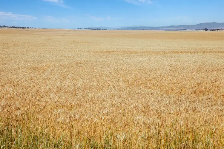 Sixth view of Homely rural property listing, 'Barunga West' Tower View Road, Barunga Gap SA 5520