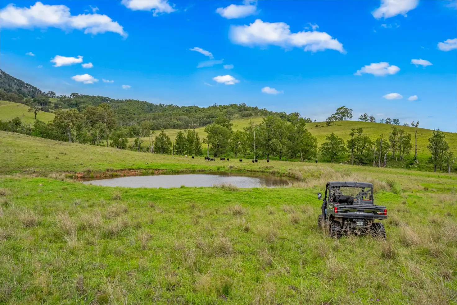 Main view of Homely rural property listing, Carrowbrook Road Mount Olive, Singleton NSW 2330
