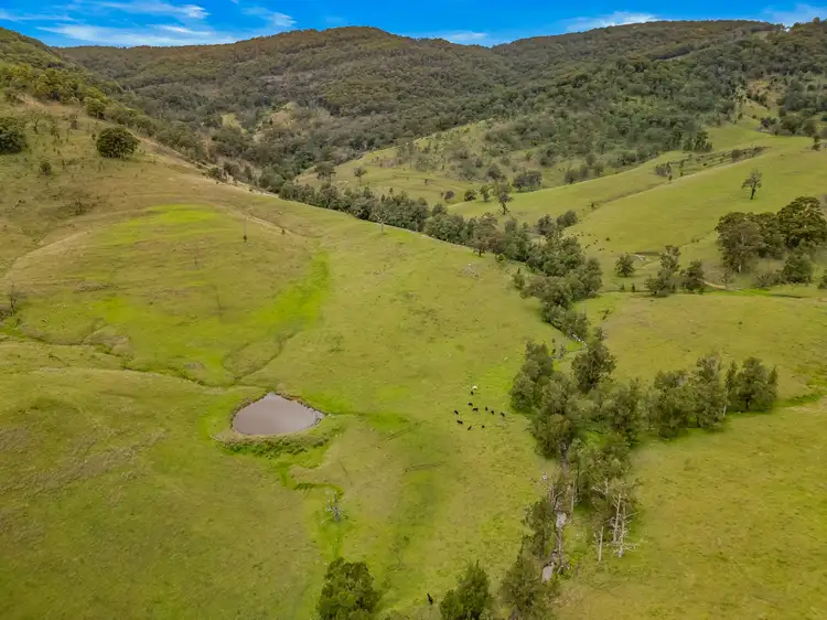 Sixth view of Homely rural property listing, Carrowbrook Road Mount Olive, Singleton NSW 2330
