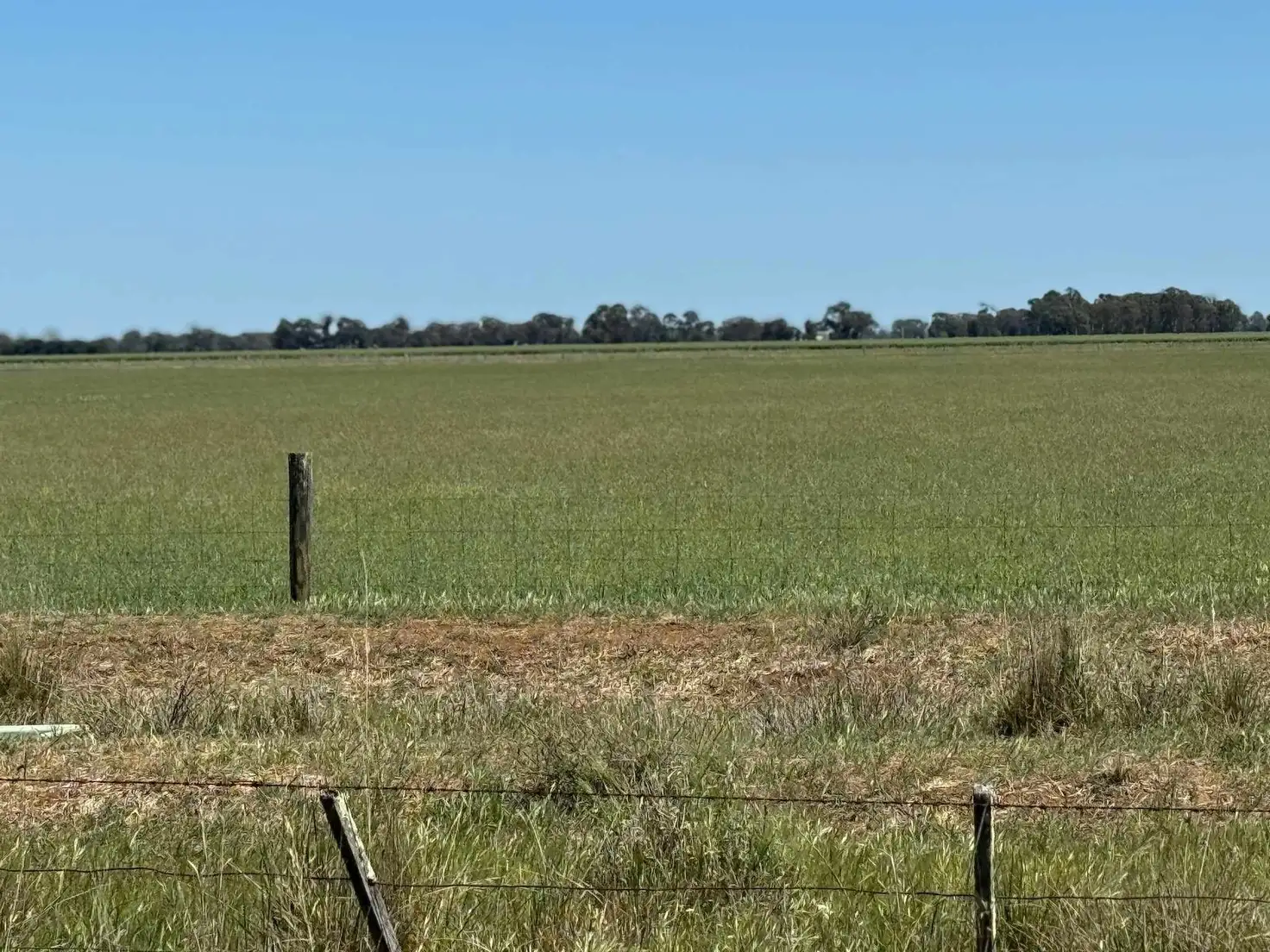 Main view of Homely rural property listing, 901 - 903 Johnson Road, Kotta VIC 3565