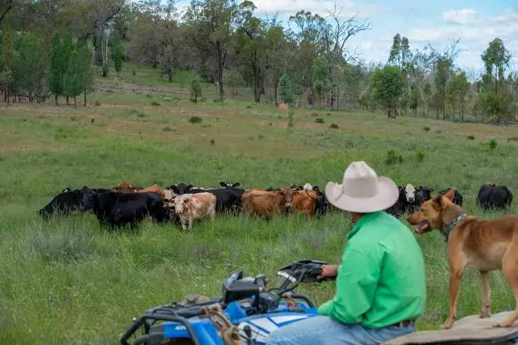 Fourth view of Homely rural property listing, 0 Spring Creek Road, Terrica QLD 4387