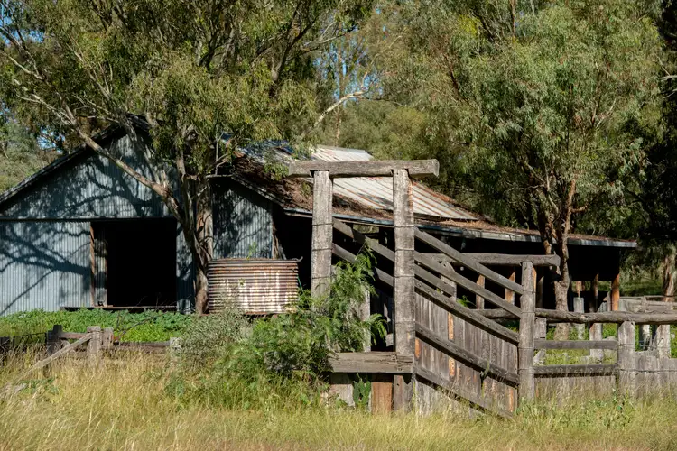 Seventh view of Homely rural property listing, 0 Spring Creek Road, Terrica QLD 4387