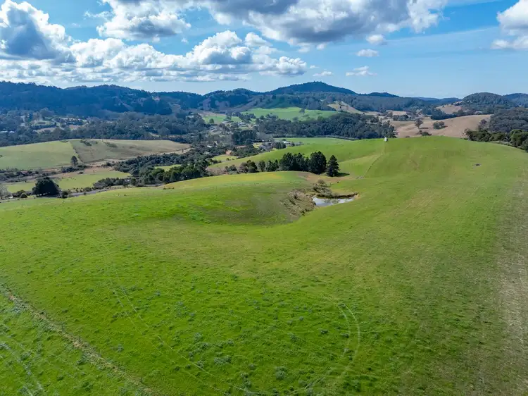 1378 Coramba Road, Dorrigo NSW 2453