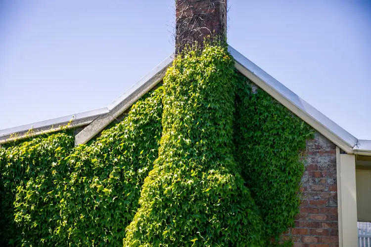 Fourth view of Homely house listing, 90 Laggan Road, Crookwell NSW 2583