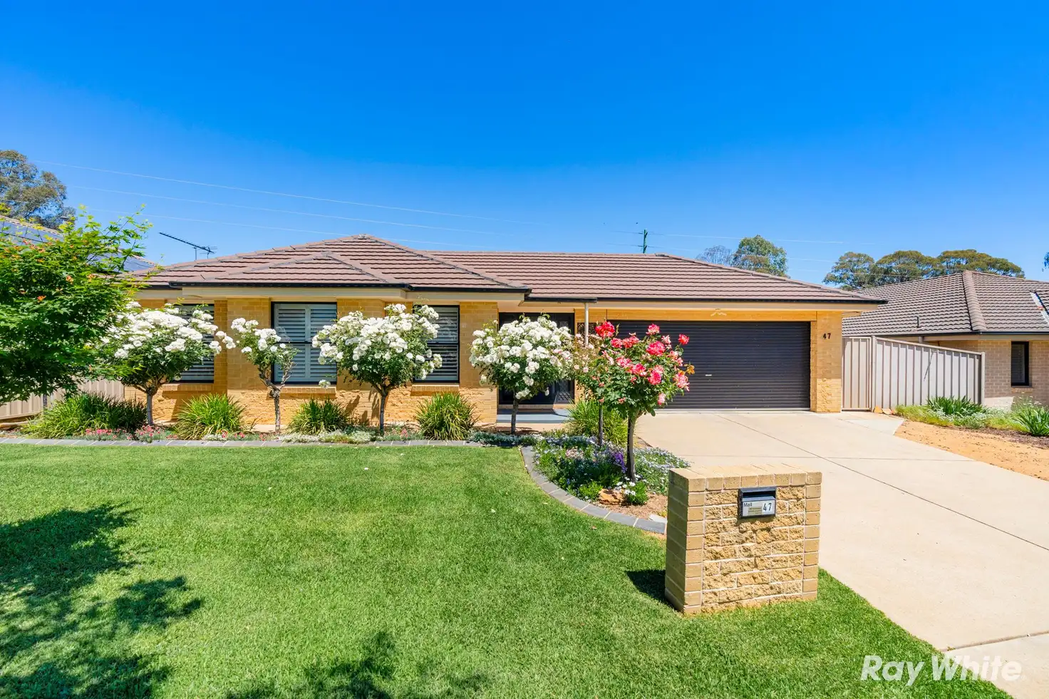 Main view of Homely house listing, 47 Swan Street, Ashmont NSW 2650