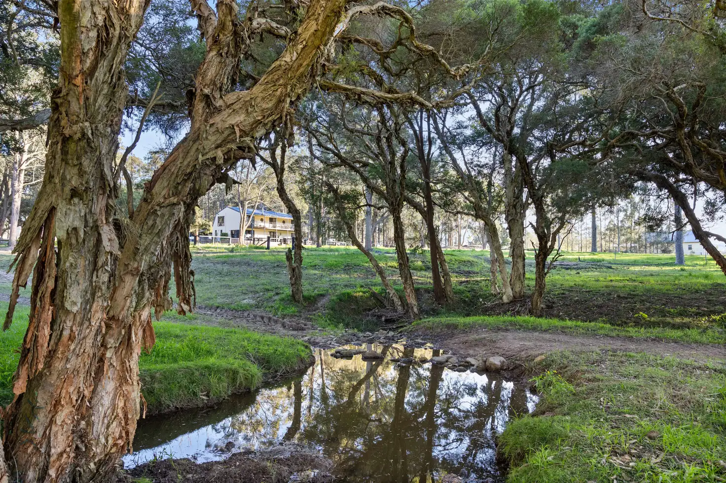 Main view of Homely rural property listing, 731 Glen William Road, Glen William NSW 2321