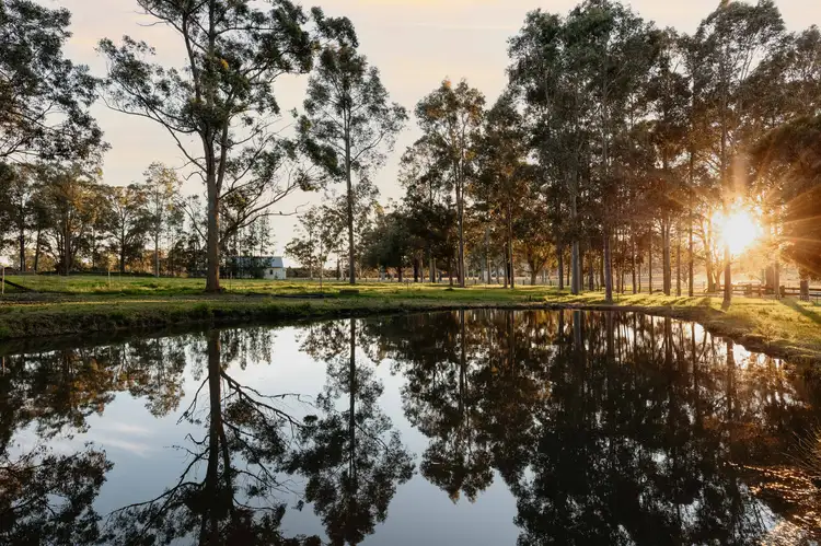 Third view of Homely rural property listing, 731 Glen William Road, Glen William NSW 2321