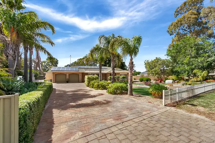 29 Falkenberg Road, Nuriootpa SA 5355