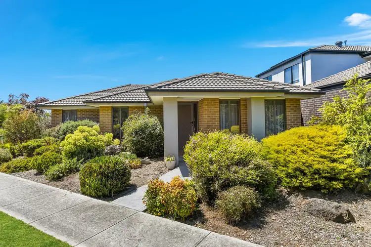 8 Featherflower Way, Officer VIC 3809