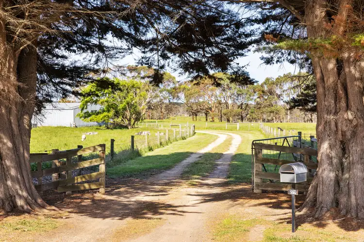 Fourth view of Homely rural property listing, 279 Dances Road, Nirranda South VIC 3268