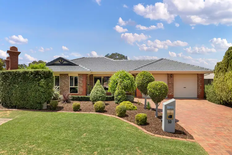 53 Reordan Drive, Greenwith SA 5125