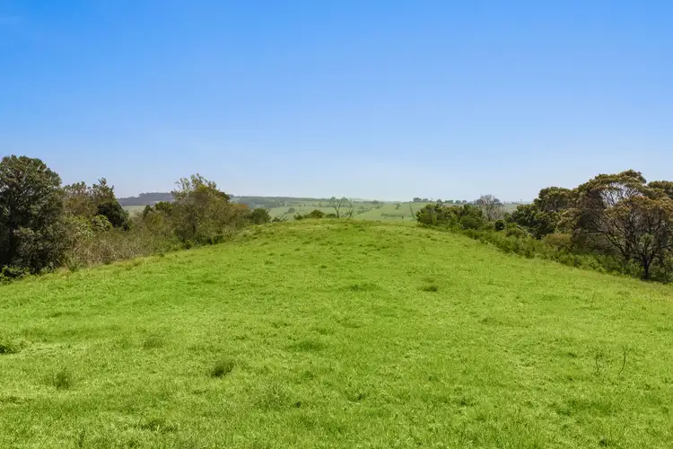 Fourth view of Homely rural property listing, Lot 23 Jerrara Road, Jerrara NSW 2533