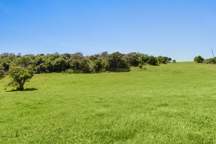 Fifth view of Homely rural property listing, Lot 23 Jerrara Road, Jerrara NSW 2533