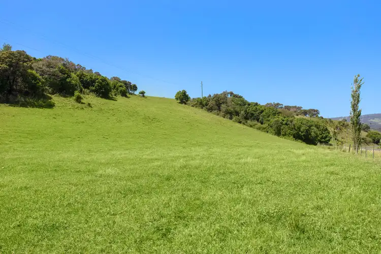 Seventh view of Homely rural property listing, Lot 23 Jerrara Road, Jerrara NSW 2533
