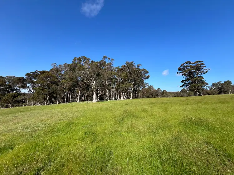 Second view of Homely rural property listing, 173 Walter Road, Scotsdale WA 6333