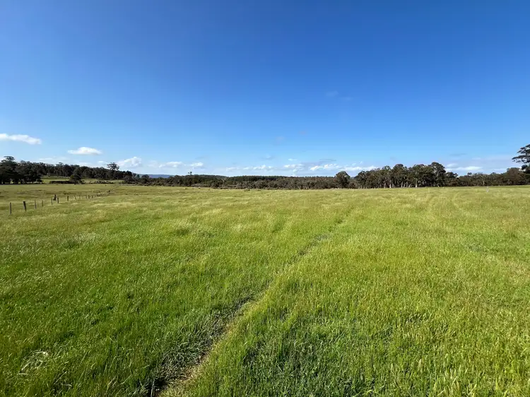 Fourth view of Homely rural property listing, 173 Walter Road, Scotsdale WA 6333
