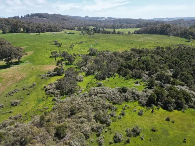 Sixth view of Homely rural property listing, 173 Walter Road, Scotsdale WA 6333
