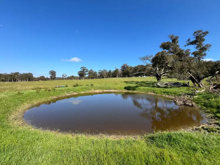 Seventh view of Homely rural property listing, 173 Walter Road, Scotsdale WA 6333