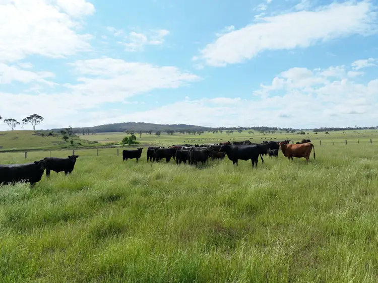 Seventh view of Homely rural property listing, 1028 Emmaville Road, Yarrowford NSW 2370