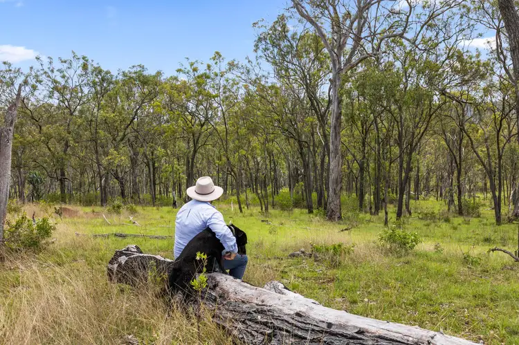 Fifth view of Homely rural property listing, 1719 Pilton Valley Road, Clifton QLD 4361