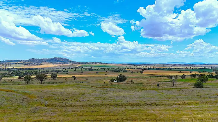 Fourth view of Homely rural property listing, 20 Callaghans Lane, Quirindi NSW 2343