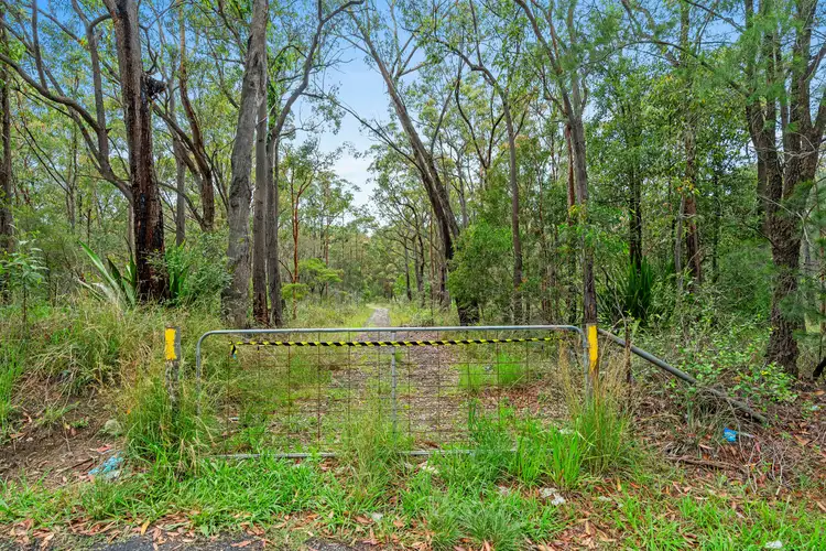 Second view of Homely rural property listing, 56 Redgum Close, Freemans Waterhole NSW 2323