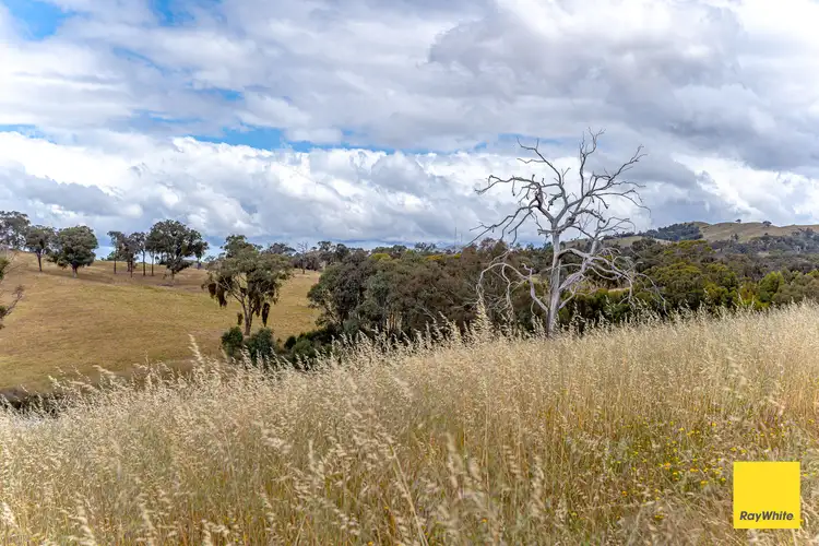 Seventh view of Homely rural property listing, 146 Sutton Grange Road, Sedgwick VIC 3551