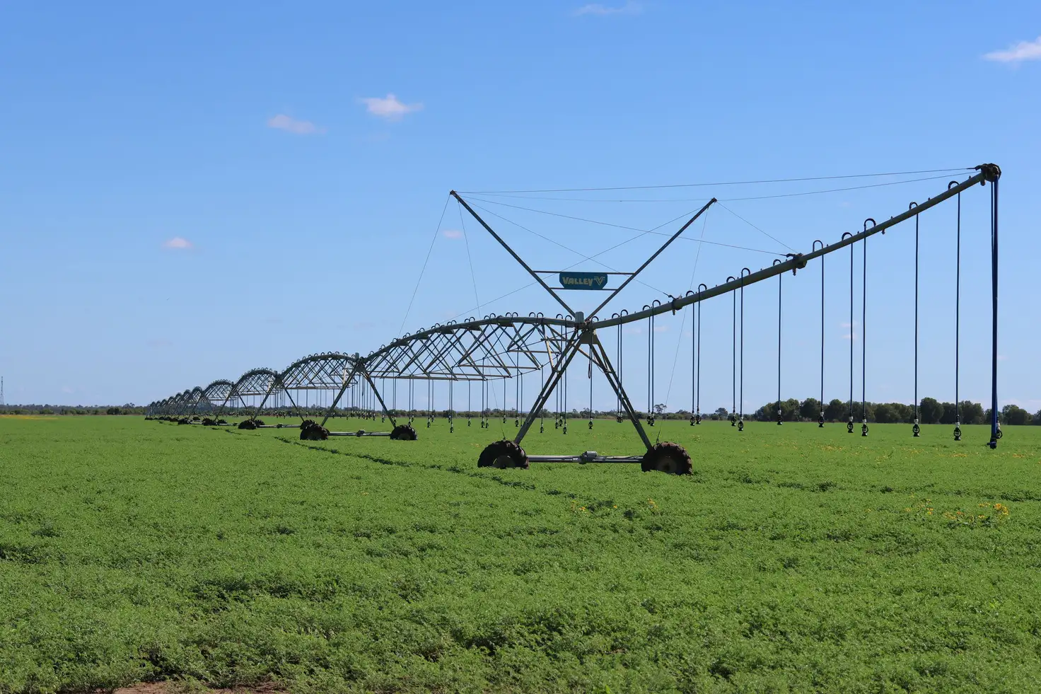Main view of Homely rural property listing, Lot 578 on CP AP6829 0 Donohoe Road, Emerald QLD 4720