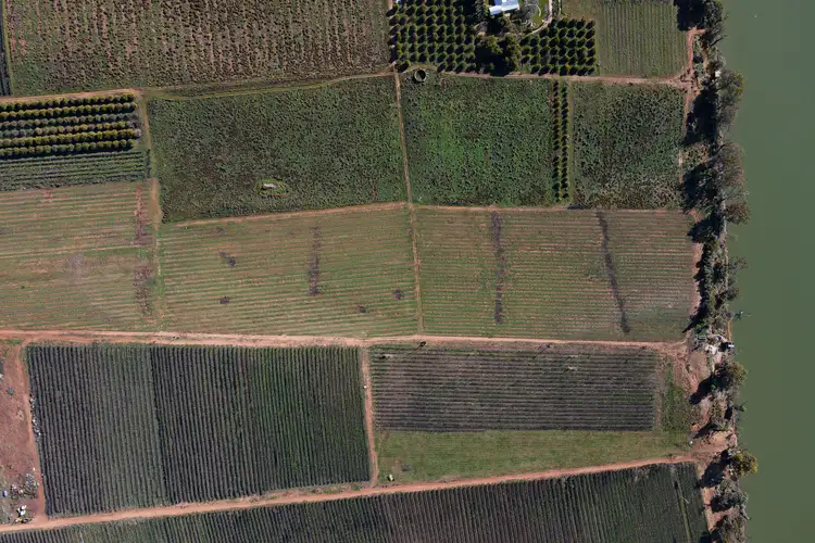 Fifth view of Homely rural property listing, Lot 103 Kingston Road, New Residence SA 5333