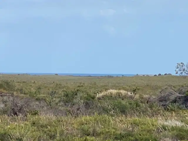 Third view of Homely land listing, Lot 405 Ridge Way, Jurien Bay WA 6516