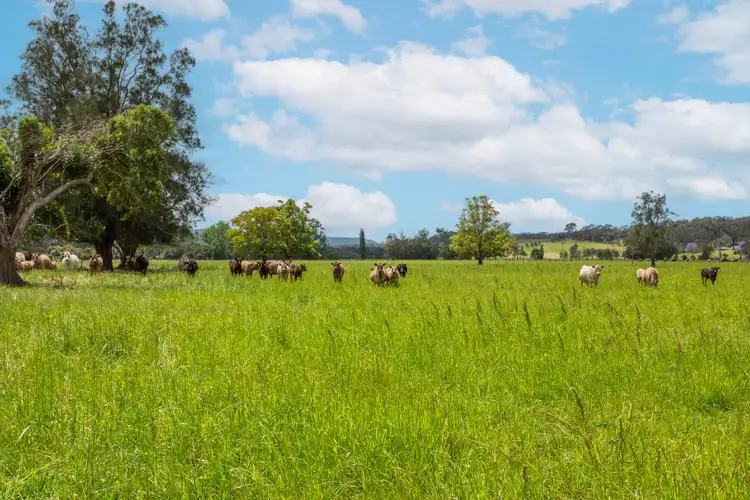 Main view of Homely rural property listing, 639E coolangatta Road, Berry NSW 2535