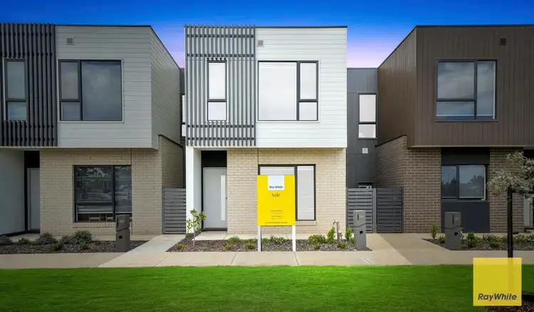 31 Wool Street