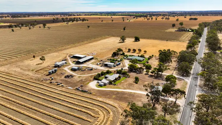 Third view of Homely rural property listing, 377 Cannawigara Road, Bordertown SA 5268