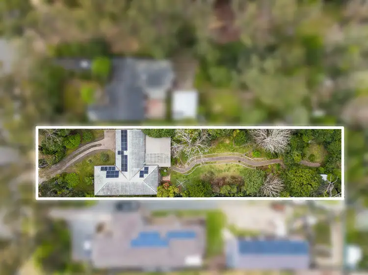 Main view of Homely house listing, 51 Orient Street, Willow Vale NSW 2575