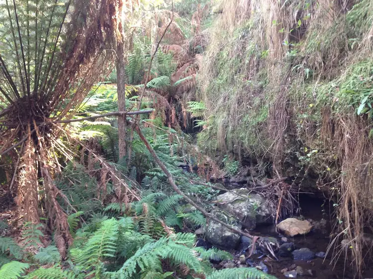 Main view of Homely land listing, Lot 26 Big Jack Mountain Road, Cathcart NSW 2632