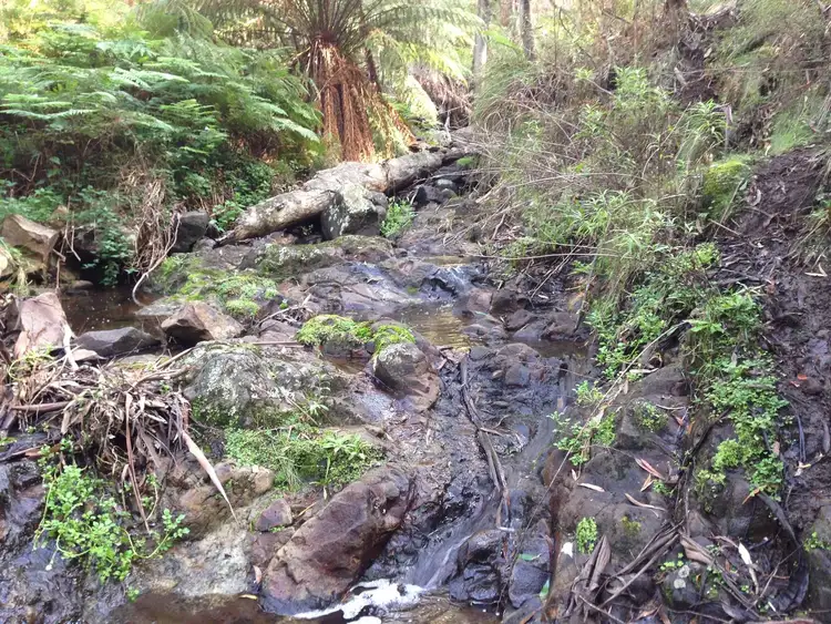 Second view of Homely land listing, Lot 26 Big Jack Mountain Road, Cathcart NSW 2632