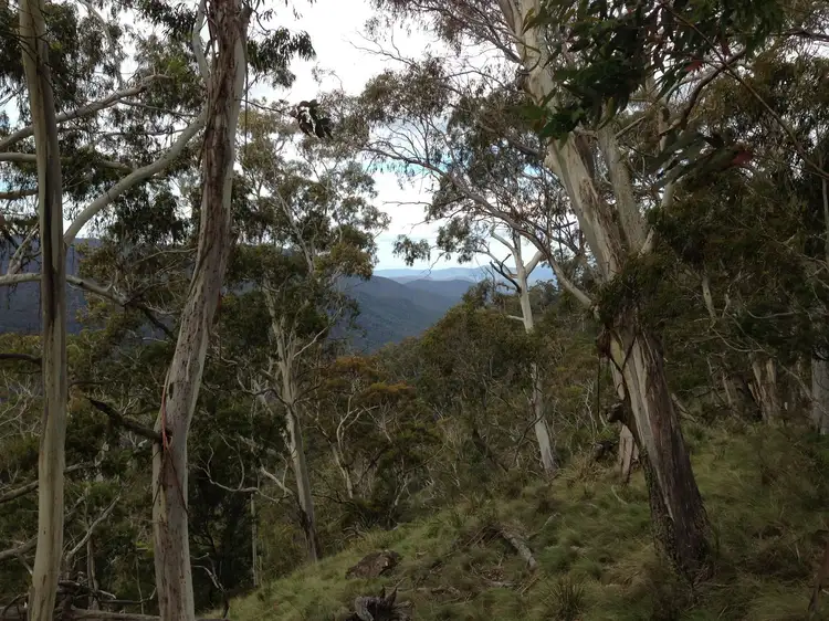 Fourth view of Homely land listing, Lot 26 Big Jack Mountain Road, Cathcart NSW 2632