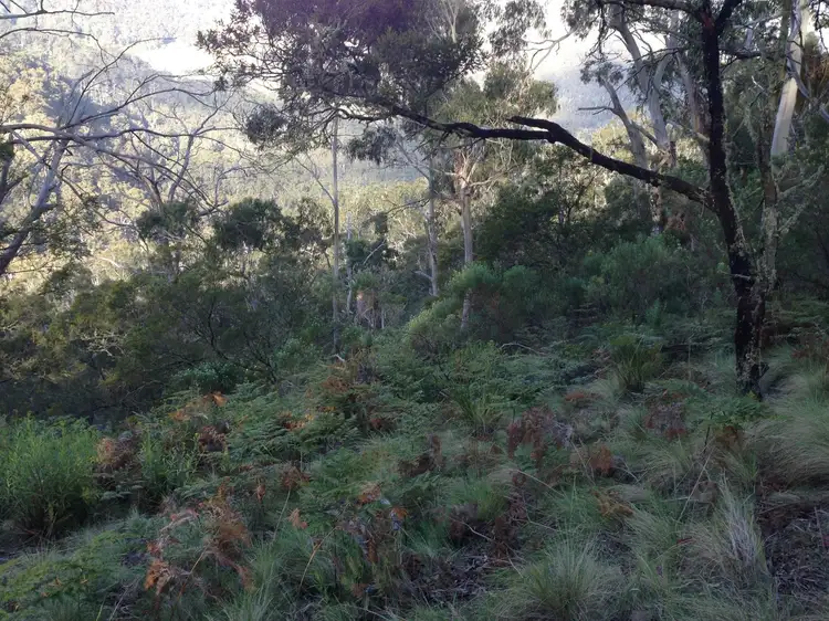 Sixth view of Homely land listing, Lot 26 Big Jack Mountain Road, Cathcart NSW 2632
