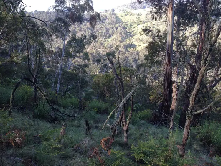 Seventh view of Homely land listing, Lot 26 Big Jack Mountain Road, Cathcart NSW 2632