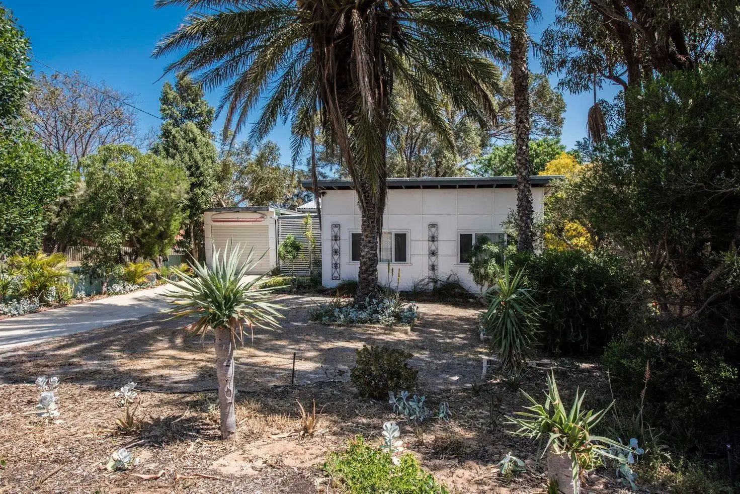 Main view of Homely house listing, 3 Malcolm Street, Bluff Point WA 6530