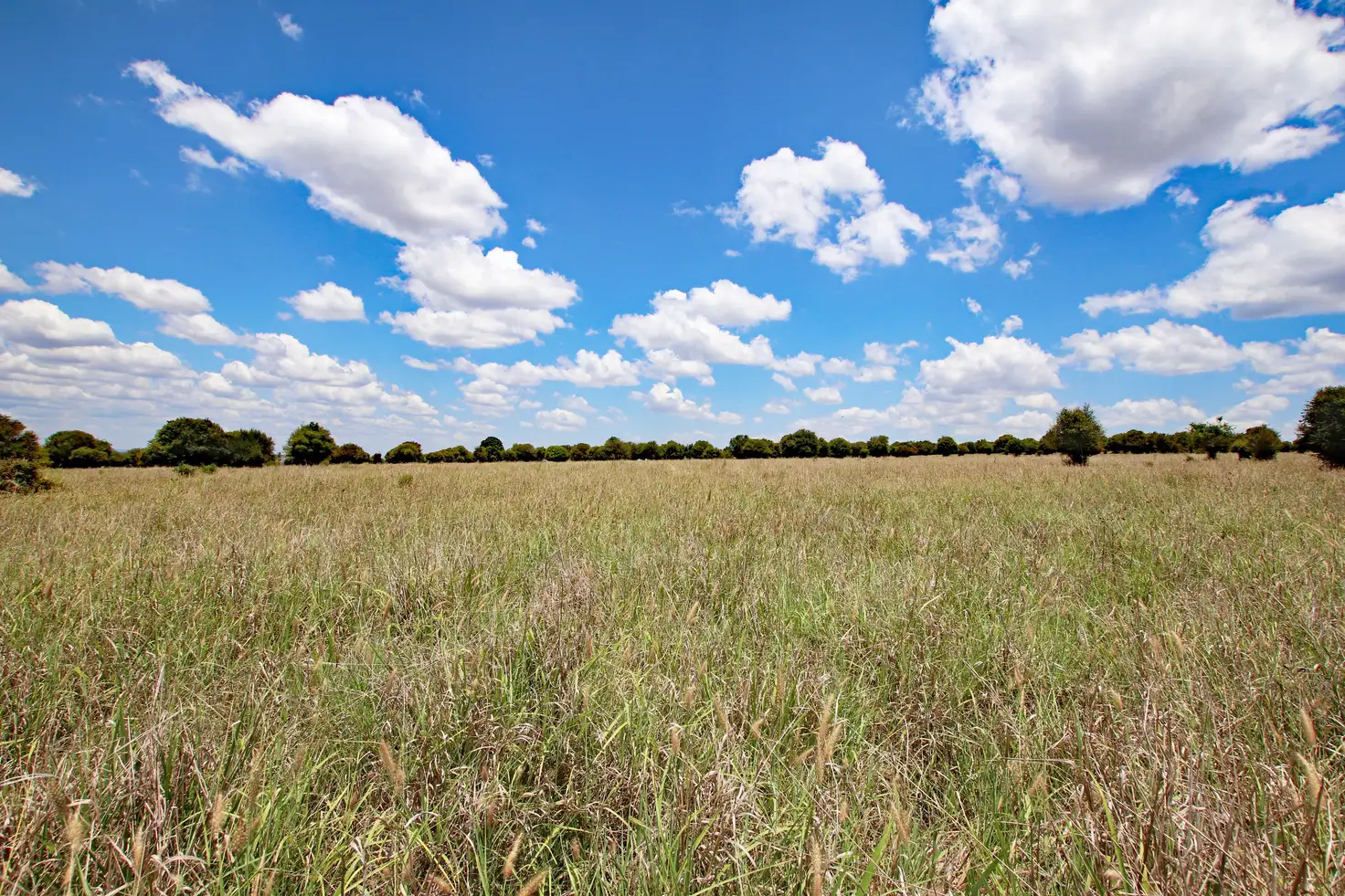 Main view of Homely rural property listing, "Yagoondy" 159 Zwislers Road, Harrami QLD 4630