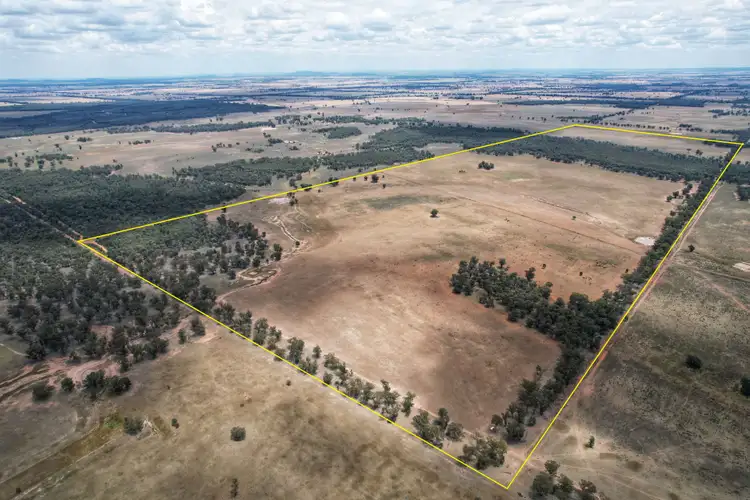 Second view of Homely rural property listing, 1 Adavale Lane, Trundle NSW 2875