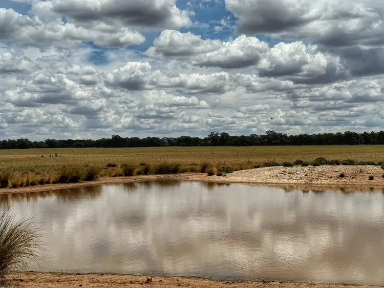 Fourth view of Homely rural property listing, 1 Adavale Lane, Trundle NSW 2875